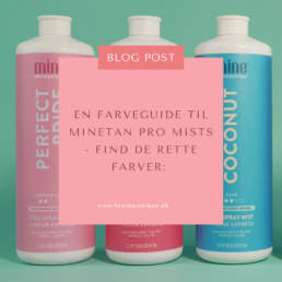 Blog - farveguide til minetan pro mist